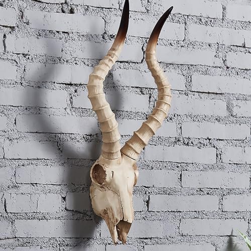 Longhorn-Kuhschädel – Ziegen-Longhorn-Wanddekoration, Widder, Bison, Bullenschädel, Kunstpräparation, Tierkopf, Wanddekoration, handgefertigte Longhorn-Skulpturen, Wandtafel, Kunsthandwerk (Farbe: von IONAZQTWW