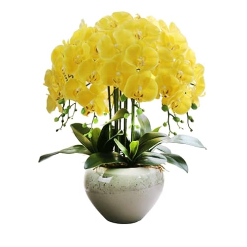 Phalaenopsis-Blumen, künstliche Orchidee, 10 Schmetterlinge, künstliche Blumenvase, Set mit Phalaenopsis-Blumen aus Pu-Gummi, künstliche Blumen, 62 cm, künstliche Orchideen, natürliches Aussehen von IONAZQTWW