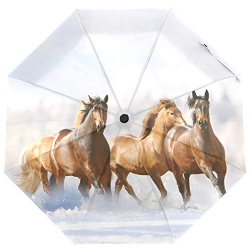 ISAOA Faltbarer Regenschirm für Pferde, Reise, kompakt, winddicht von ISAOA