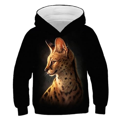 IUERVPS 4-13 Jahre alte Kinder 3D Hoodies Bunte Farbe Universum Tier Katze Mond Stern Druck Jungen Mädchen Kapuzenpullover Kinder Pullover(Picture Show TNT1216,110) von IUERVPS