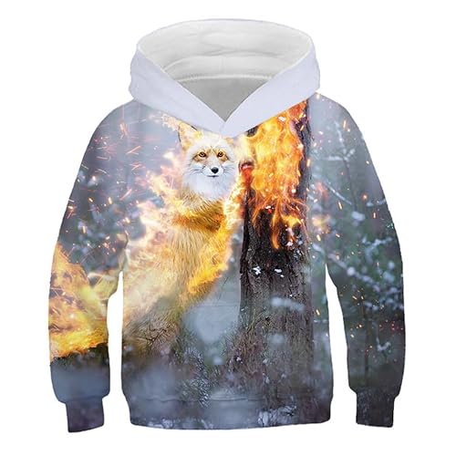 IUERVPS Kinder 3D Kapuzenpullover Jungen Mädchen Schöne König Löwe Tiger Wolf Leopard Bedruckte Hoodies Kinder Galaxy Pullover(Picture Show TNT-744,140) von IUERVPS