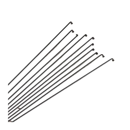 IZHAOGJING 20 Stück 14 g Edelstahl-Speichen mit Nippeln, Fahrrad-Speichen, Drähte, Fahrradreparatur, Ersatzwerkzeug, verschiedene Größen (240 mm) von IZHAOGJING