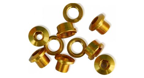 ice set von 5 kettenblattschrauben r bolt 6 5 mm gold ice set von 5 kettenblattschrauben r bolt 6 5 mm gold von Ice