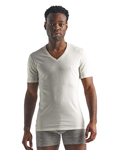 Icebreaker Merinowolle Herren Unterwäsche - Anatomica T-Shirt mit V-Ausschnitt | Merino Shirt | Wandershirt | Merino Shirt | Merino Unterhemd | Merino Tshirt - Snow, M von Icebreaker