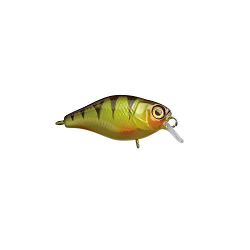 Illex Crankbait Chubby 38 Wobbler Perch Illex Crankbait Chubby 38 Wobbler Perch von Illex