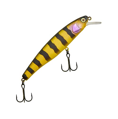 Illex Poisson Nageur Arnaud 100 F - 10cm - 16g - Zander Bee - Floating - 78373 Illex Poisson Nageur Arnaud 100 F - 10cm - 16g - Zander Bee - Floating - 78373 von Illex