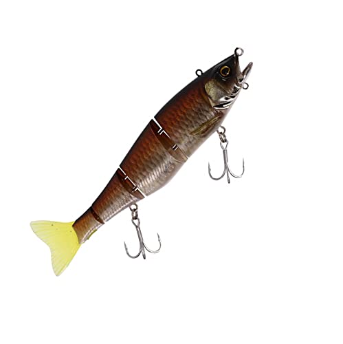 Illex Poisson Nageur Gantia 180 Rt - 18cm - 52g - Rt Silver Hera - Suspending - 68636 Illex Poisson Nageur Gantia 180 Rt - 18cm - 52g - Rt Silver Hera - Suspending - 68636 von Illex