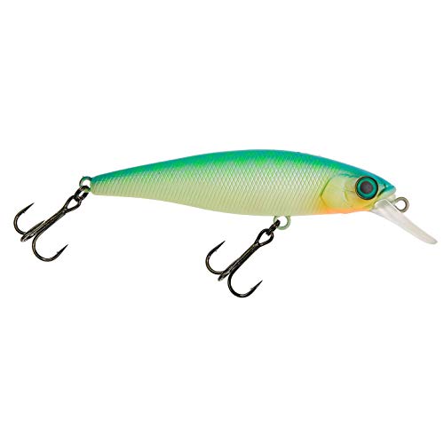 Illex Poisson Nageur Squad Minnow 65 Sp - 6.5cm - 5.8g - Agressive Perch - Suspending - 73054 Illex Poisson Nageur Squad Minnow 65 Sp - 6.5cm - 5.8g - Agressive Perch - Suspending - 73054 von Illex