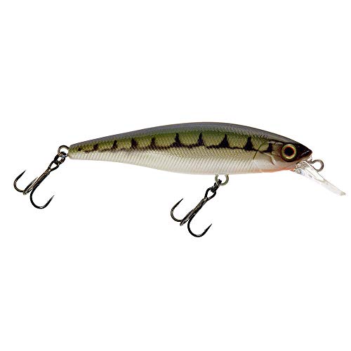 Illex Squad Minnow 65mm SP Vairon - Wobbler Illex Squad Minnow 65mm SP Vairon - Wobbler von Illex