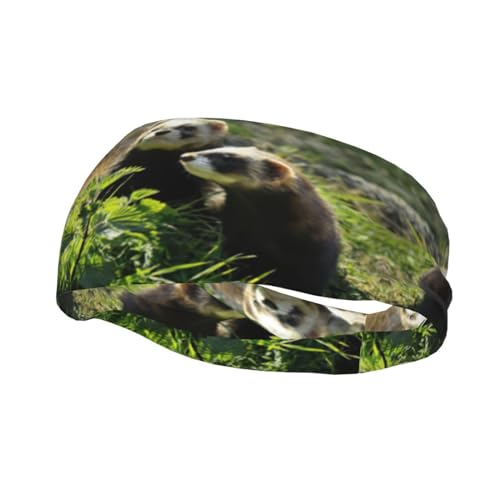 Wildlife Frettchen-Print Lauf-Stirnband für Männer und Frauen, Workout-Schweißbänder, Sport, feuchtigkeitsableitende Stirnbänder von JEJEA