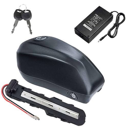 JHKJ 48-Volt-Lithium-Ionen-Akku, 48 V 18 Ah E-Bike-Akku, 48 V 25 Ah Tank-Akku, 48 V 32 Ah E-Bike-Akku für 850 W-1500 W Motor, Umrüstsatz mit Ladegerät,Bullet Head 48v32ah von JHKJ