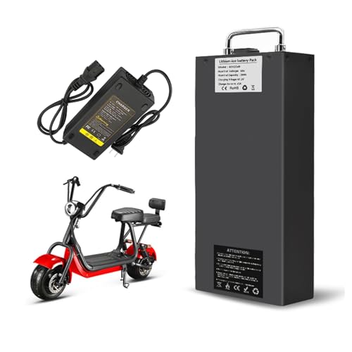 JHKJ 60-V-Motorradbatterie, 60-V-Lithiumbatterie, 60-V-Ersatzbatterie, 60-Volt-E-Bike-Batterie, 13Ah, 15,6Ah, 18,2Ah, 20,8Ah, 24Ah, 27,2Ah für 750–1650W Motorkits mit Batteriegriff,60v27.2ah von JHKJ