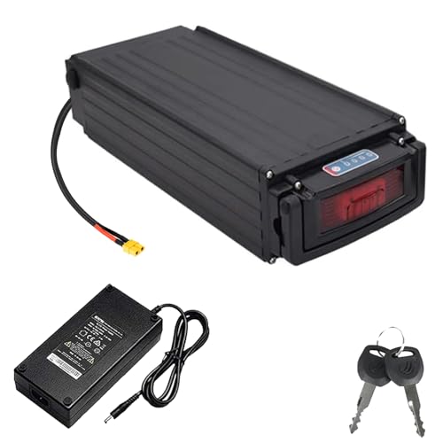 JHKJ E-Bike-Akku 36 V Gepäckträgerakku 48 V E-Bike-Akku 52 V Lithium-Ionen-Akku für 500 W-1000 W Motor-Kits mit Batterieanzeige/Rücklicht und Sicherheitsschloss,48v15ah von JHKJ