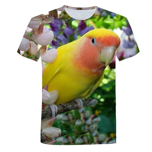JIFENLI Herren 3D Druck T-Shirt Sommer Papagei Vogel Tier Bunt Unisex 3D Bedrucktes T-Shirt Rundhals Herren Kurzarm Cool Atmungsaktiv Locker Stretch Top Sweatshirt JIFENLI Herren 3D Druck T-Shirt Sommer Papagei Vogel Tier Bunt Unisex 3D Bedrucktes T-Shirt Rundhals Herren Kurzarm Cool Atmungsaktiv Locker Stretch Top Sweatshirt von JIFENLI