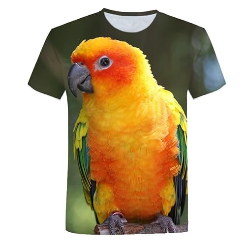 JIFENLI Herren 3D Druck T-Shirt Sommer Papagei Vogel Tier Bunt Unisex 3D Bedrucktes T-Shirt Rundhals Herren Kurzarm Cool Atmungsaktiv Locker Stretch Top Sweatshirt von JIFENLI