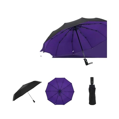 JINGBDO Reise Regenschirm Doppel Regenschirm Regen Männer Frauen Große Regenschirme-Lila von JINGBDO