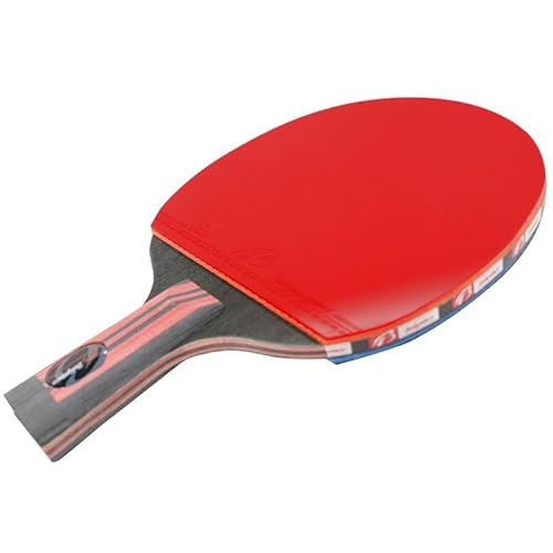 Penhold Ping-Pong-Schläger, Tischtennisschläger im chinesischen Stil mit kurzem Griff, professioneller Tischtennis Schläger für Anfänger von JITEM