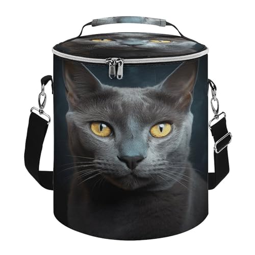 Wiederverwendbarer, isolierter weicher Eispack/Rucksack, graue Katze, Sternenmotiv, Reise-Kühltasche, isolierte Lunchtasche, erweiterbare, doppellagige Kühltasche, geeignet für Strand- und von JKLPOMN