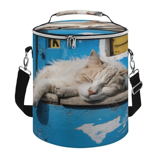 Wiederverwendbarer isolierter weicher Eisbeutel / Rucksack, schlafende kleine Katze, isolierte Lunchtasche, erweiterbare, doppellagige Kühltasche, geeignet für Strand- und Picknick-Kühlschränke von JKLPOMN