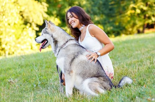 JOCHEN SCHWEIZER Geschenkgutschein: Husky Knuddelzeit in Goch JOCHEN SCHWEIZER Geschenkgutschein: Husky Knuddelzeit in Goch von JOCHEN SCHWEIZER