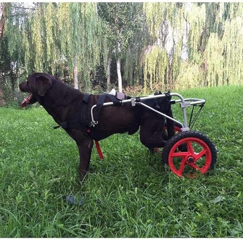 Hunde-Hinterbeinrollstuhl, großer Hunderollstuhl, geeignet für behinderte Hinterbeine von 50 cm, verstellbarer Hunderollstuhl aus Aluminiumlegierung, geeignet für 45 kg große Hunde (Größe: L, XL) von JQQJZLC