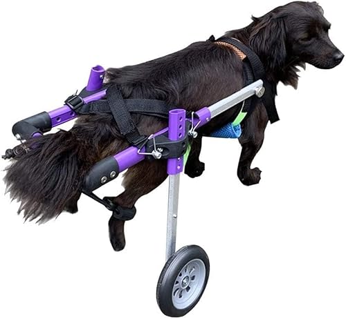 JQQJZLC Rollstuhl für kleine Hunde für die Hinterbeine, Laufräder für Haustiere, Hüfthöhe 20–50 cm, Hüftbreite 13–26 cm, Rehabilitation der Hinterbeine, Beinschiene für die Hinterbeine von Hunden (X) von JQQJZLC