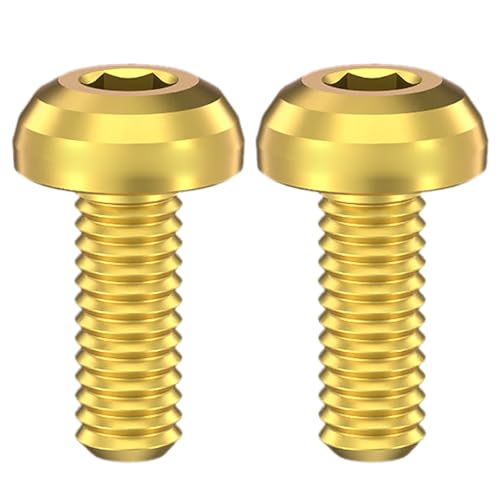 JTQYFI 2 Stücke Fahrrad Flaschenhalter Schrauben Titanlegierungen Sechskantschrauben Schrauben M5x12mm Flaschenhalter Schrauben Schraube von JTQYFI