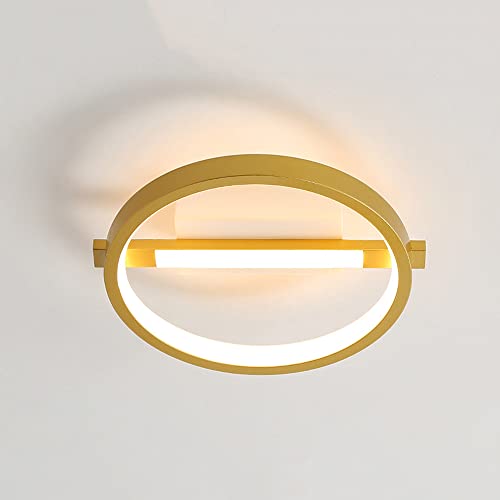 Kleine LED-Deckenleuchte für den Innenbereich, moderne Eingangsbereich-Deckenleuchte, nordisches Zuhause, Flur, Deckenleuchte, Restaurant, Hotel, Unterputz-Deckenleuchte, Pendelleuchten (Gold) von JWBXFYXW