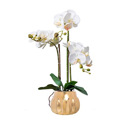 JZWCHQ Künstliche Blume im Topf, künstliche Orchidee, weiße Kunstblumen mit Vase, PU-Phalaenopsis, künstliche Blume in Vase, Tafelaufsatz für Esstisch, Wohnzimmer von JZWCHQ