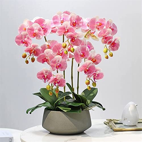 JZWCHQ Künstliche Orchideen-Blumen im Topf, künstliche Orchideen, Klassische künstliche Phalaenopsis-Blumen, Heim-Tischdekoration, künstliche Blumen, natürlicher Look von JZWCHQ