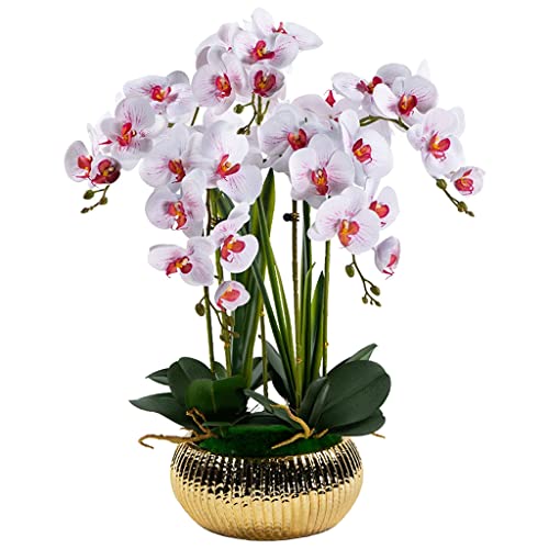 JZWCHQ Künstliche Orchideenblumen, 5 Köpfe, künstliche Phalaenopsis-Blumen, Blumenarrangement, künstliche Orchideen, Stielpflanzen, künstliche Blumen für Heimdekoration, natürliches Aussehen von JZWCHQ