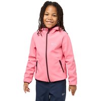 Jack Wolfskin Fourwinds Jacket Kids Softshelljacke Kinder 128 pink lemonade pink lemonade von Jack Wolfskin