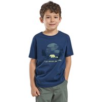 Jack Wolfskin Graphic Cotton T-Shirt Kids T-Shirt aus Bio-Baumwolle Kinder 92  PRINT evening sky von Jack Wolfskin