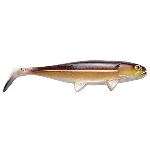 Jackson Sea Unisex – Erwachsene 10C4050801030313C10 Jackson The Sea Fish 30cm Cod Gummifisch Meer, Bunt, Normal Jackson Sea Unisex – Erwachsene 10C4050801030313C10 Jackson The Sea Fish 30cm Cod Gummifisch Meer, Bunt, Normal von Jackson