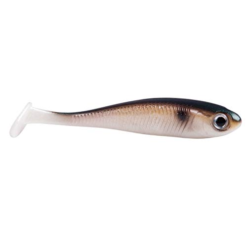 Jackson Gummifisch Barsch & Zander Köder - Active Shad 10,0cm 5St. Green Back. Profi Gummiköder. Angelköder Raubfisch. Gummi Angeln. Softbait Jackson Gummifisch Barsch & Zander Köder - Active Shad 10,0cm 5St. Green Back. Profi Gummiköder. Angelköder Raubfisch. Gummi Angeln. Softbait von Jackson