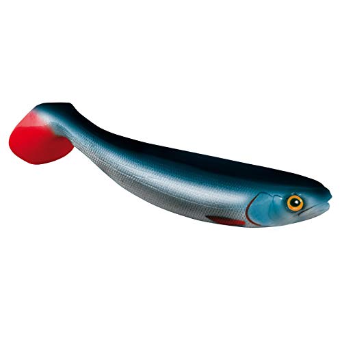 Jackson Gummifisch Zander & Hecht Köder - The Shad 10,0cm 2St. Whitefish Blue. Gummiköder Barsch, Zander und Hecht Angeln. Kunstköder Raubfisch. Angelköder Gummi Jackson Gummifisch Zander & Hecht Köder - The Shad 10,0cm 2St. Whitefish Blue. Gummiköder Barsch, Zander und Hecht Angeln. Kunstköder Raubfisch. Angelköder Gummi von Jackson