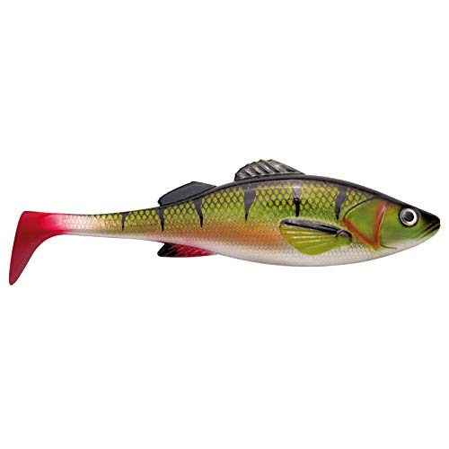 Jackson The Perch Hecht Gummifisch. 18cm Fire Perch. Gummiköder Angeln. Profi Hechtköder Jackson The Perch Hecht Gummifisch. 18cm Fire Perch. Gummiköder Angeln. Profi Hechtköder von Jackson