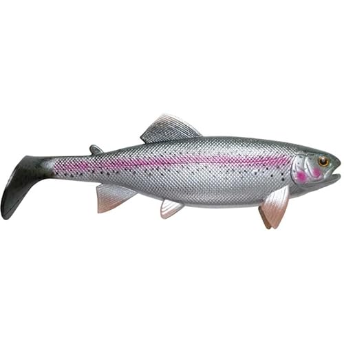 Jackson The Trout 13cm Gummifisch Hecht Angeln Köder. Test SEHR GUT. Rainbow Trout. 2St. Angelköder Shad. Profi Hechtköder und Zanderköder. Gummiköder Softbait Jackson The Trout 13cm Gummifisch Hecht Angeln Köder. Test SEHR GUT. Rainbow Trout. 2St. Angelköder Shad. Profi Hechtköder und Zanderköder. Gummiköder Softbait von Jackson