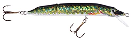 Kunstköder Fisch Schwimmers Hecht Jaxon Verwandschaft Kunstköder Fisch Schwimmers Hecht Jaxon Verwandschaft von Jaxon