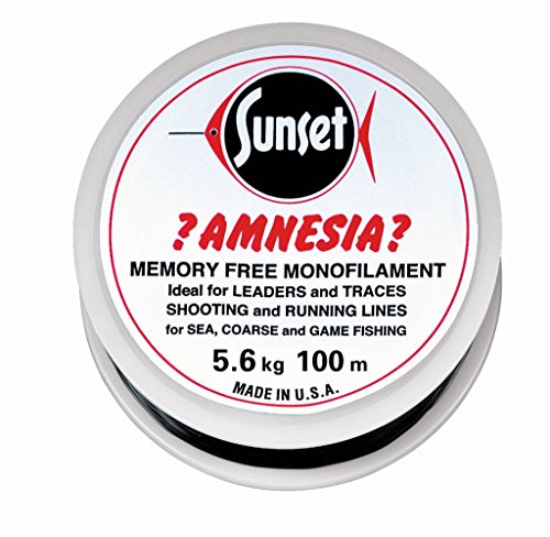 JENZI Amnesia Leader Vorfach Schwarz 12lbs 100m JENZI Amnesia Leader Vorfach Schwarz 12lbs 100m von JENZI