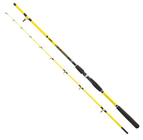 JENZI Continuum 1,80 m 20-100 g JENZI Continuum 1,80 m 20-100 g von Jenzi