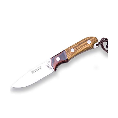 Joker Bushcraft Aguila CO105 Messer, Olivenholznholzgriff, heilige Holzferrule, 10,5 cm Klinge, Gürtelmesser mit brauner Lederscheide, Werkzeug zum Angeln, Jagen, Camping und Wandern Joker Bushcraft Aguila CO105 Messer, Olivenholznholzgriff, heilige Holzferrule, 10,5 cm Klinge, Gürtelmesser mit brauner Lederscheide, Werkzeug zum Angeln, Jagen, Camping und Wandern von Joker