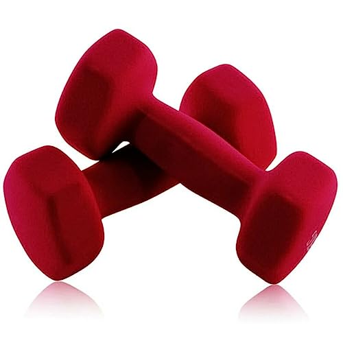 Joluvi Unisex-Hanteln, 2,5 kg. Joluvi Unisex-Hanteln, 2,5 kg. von Joluvi