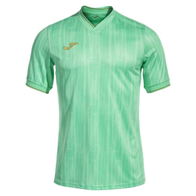 Joma Gold Vi Short Sleeve T-shirt Grün M Mann Joma Gold Vi Short Sleeve T-shirt Grün M Mann von Joma