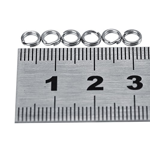 Joyzan Angeln Spaltringe, Sprengringe Spaltringe Edelstahl Split Ring Köderring für Fischen Doppel Snap Angelköder Fischköder Angelzubehör Haken Köder Verbingdungsringe Leinen Connector Ringe Kit Joyzan Angeln Spaltringe, Sprengringe Spaltringe Edelstahl Split Ring Köderring für Fischen Doppel Snap Angelköder Fischköder Angelzubehör Haken Köder Verbingdungsringe Leinen Connector Ringe Kit von Joyzan