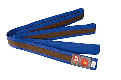 Ju-Sports Budogürtel - blau/braun/blau, Baumwolle I Kampfsport Gürtel Für Budo-Sportarten, Judo, Karate uvm. I Ca. 4 cm breiter Martial Arts Gürtel I 300 cm von Ju-Sports