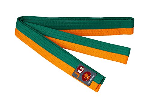 Ju-Sports Budogürtel - orange/grün, Baumwolle I Kampfsport Gürtel Für Budo-Sportarten, Judo, Karate uvm. I Ca. 4 cm breiter Martial Arts Gürtel I 300 cm von Ju-Sports