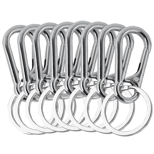 8 Stück Karabiner Schlüsselanhänger, Aus Zinklegierung Schlüsselanhänger Karabiner, Kleiner Karabinerhaken Schlüsselanhänger mit Karabiner mit Kunststoffbox für Schlüssel und Geldbörsen (Silber) 8 Stück Karabiner Schlüsselanhänger, Aus Zinklegierung Schlüsselanhänger Karabiner, Kleiner Karabinerhaken Schlüsselanhänger mit Karabiner mit Kunststoffbox für Schlüssel und Geldbörsen (Silber) von KAHOUI