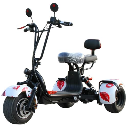 Faltbarer 4-Rad-Mobilitätsroller, tragbarer kompakter motorisierter Roller, zusammenklappbarer Leichter Mobilitätsroller, Lithium-Ionen Akku, E-Mobil, Senioren B,48V12AH von KANMUASD