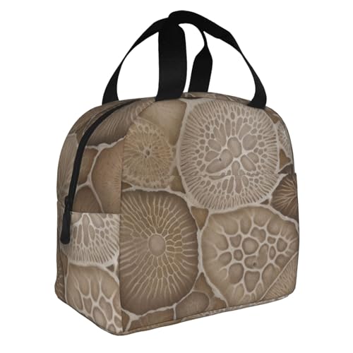 KCGSDEGV Petoskey Isolierte Lunchtasche für Damen und Herren, mit Steindruck, wiederverwendbar, Kühltasche für Outdoor, Picknick, Arbeit, Camping, Schule, Strand von KCGSDEGV